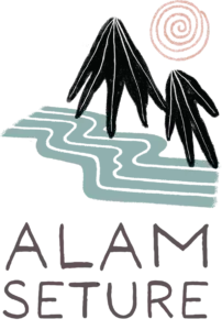 alam seture logo